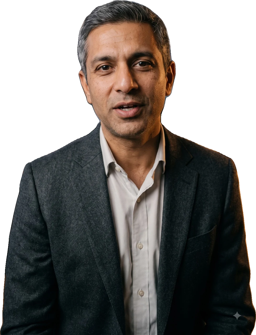 Arjun Mehra, CEO: AI avatar
